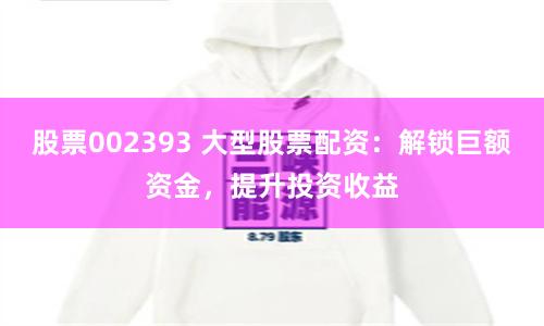 股票002393 大型股票配资：解锁巨额资金，提升投资收益